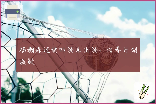 杨瀚森连续四场未出场，培养计划成疑