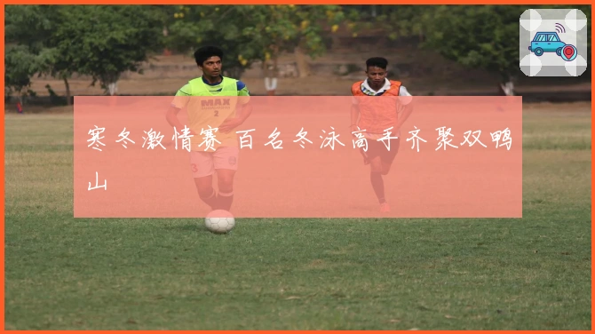 寒冬激情赛 百名冬泳高手齐聚双鸭山