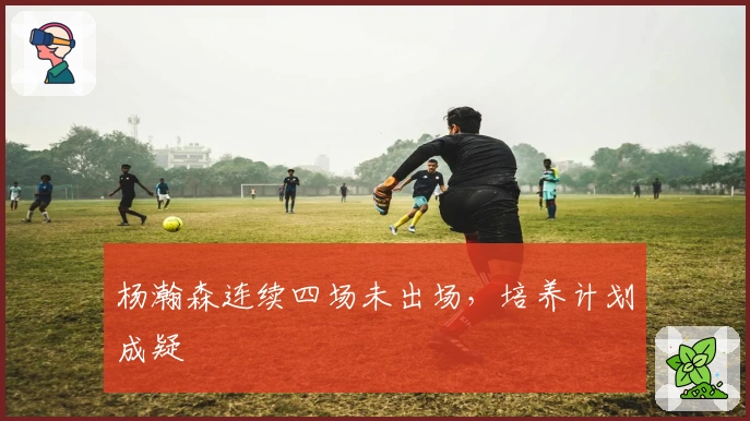 杨瀚森连续四场未出场，培养计划成疑